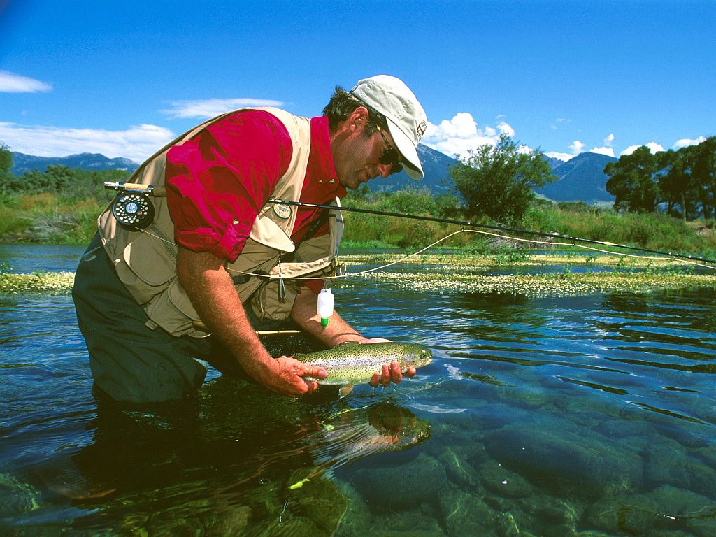 Armstrong Spring Creek, Montana